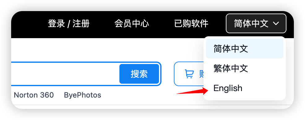 DIGITALYCHEE language switcher