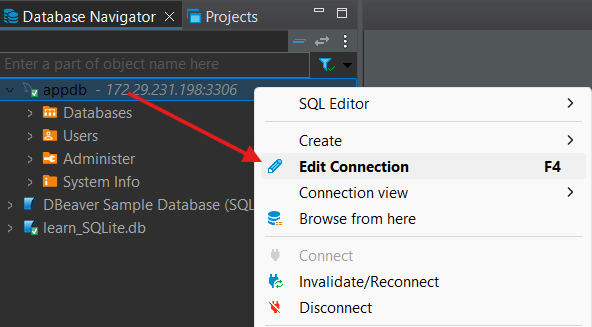 dbeaver-edit-connection dbeaver-edit-connection
