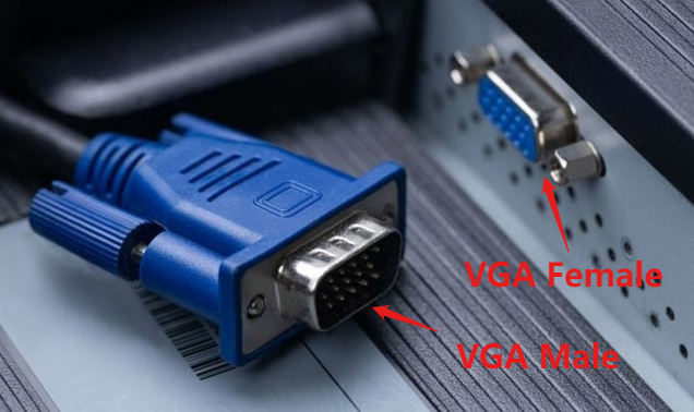 VGA Male and Female ports