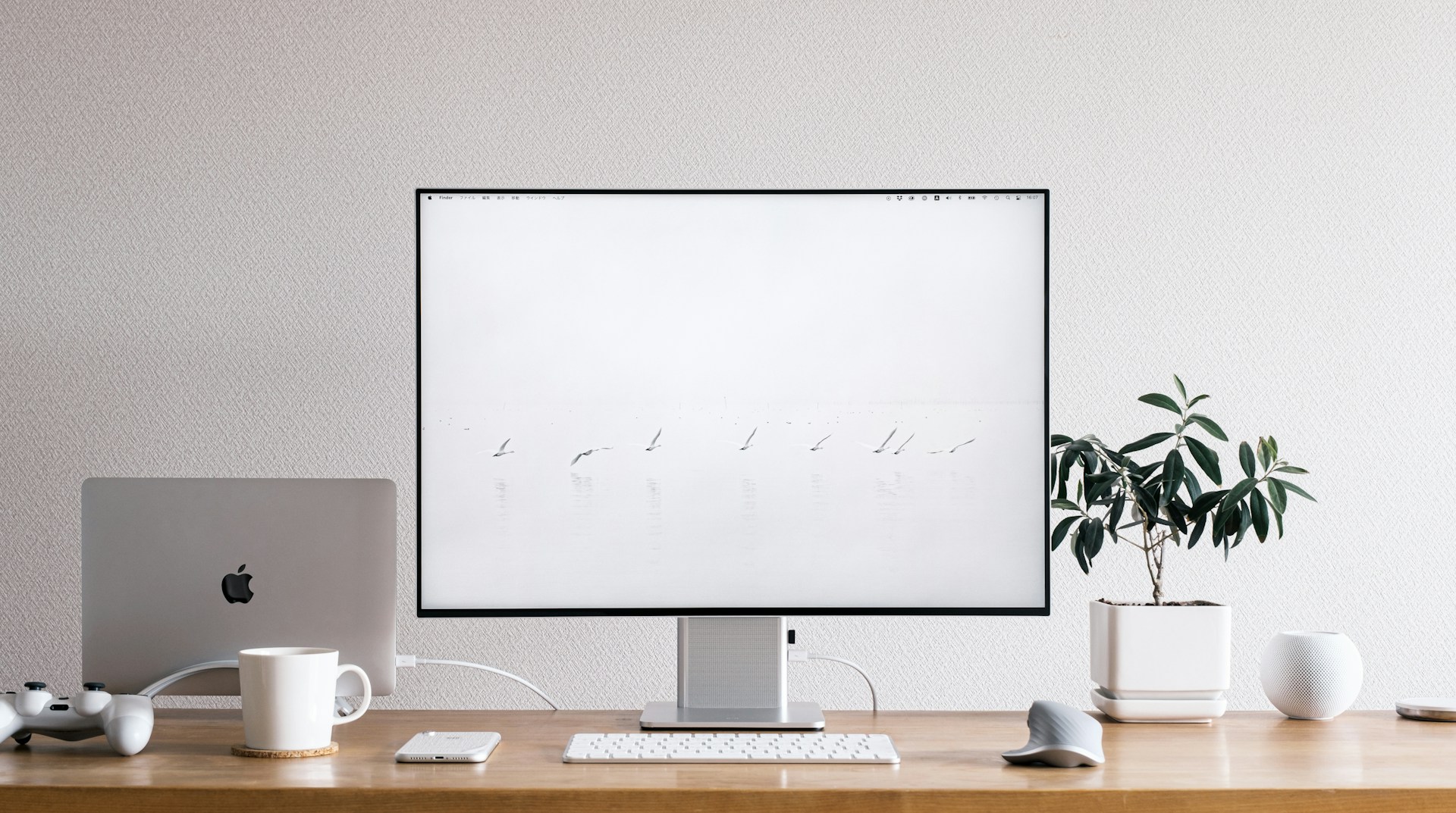 Which Dell monitors are compatible with MacOS?